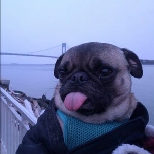 Meet your Posher, Leah